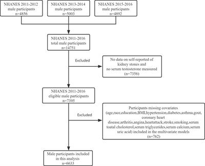 Relationship Between Serum Testosterone Levels and Kidney Stones Prevalence in Men